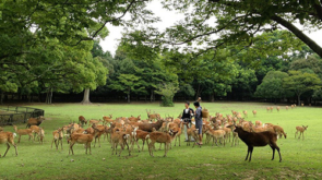 Nara_Ika Park_Re