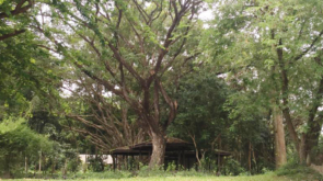 FI_Eco Tourism