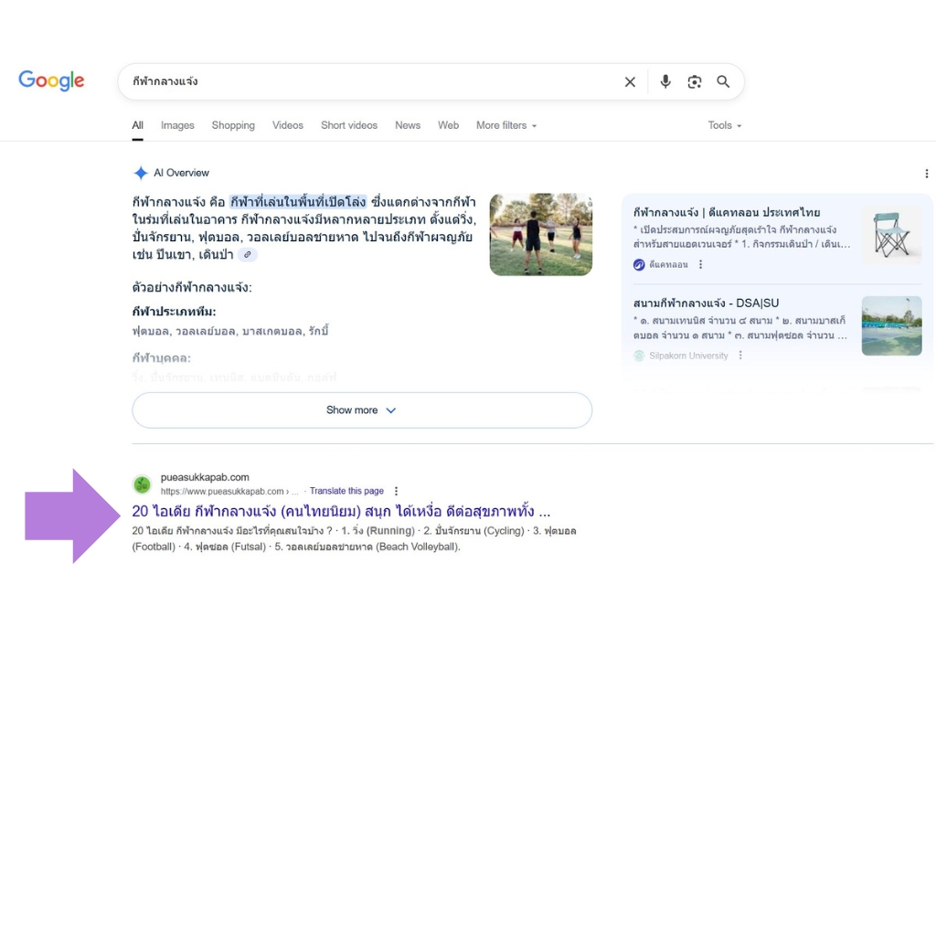 seo-puea_1
