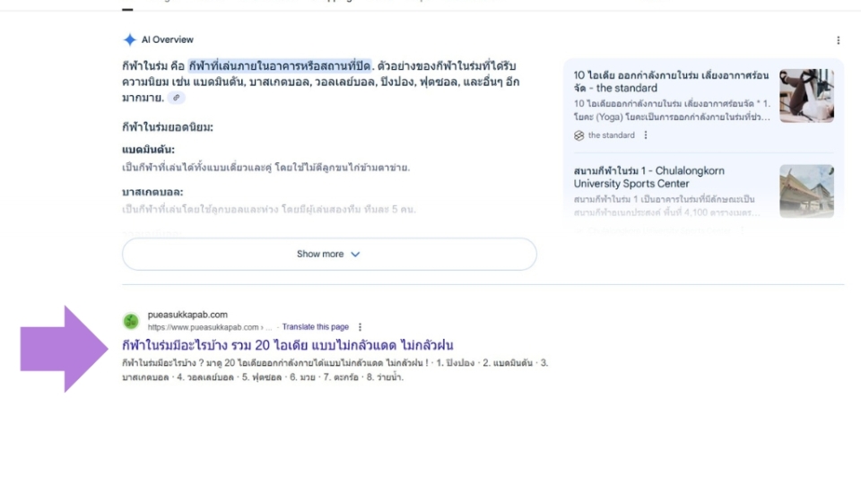 seo-puea_2