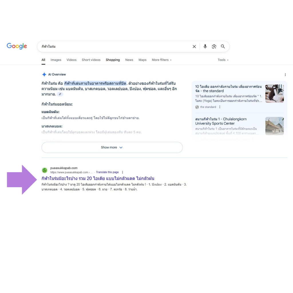 seo-puea_2