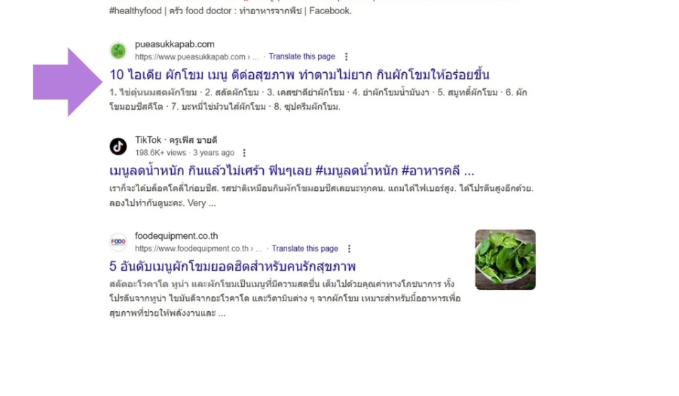 seo-puea_3