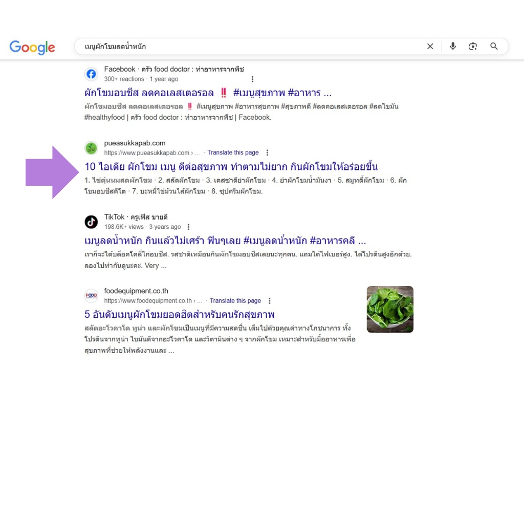 seo-puea_3